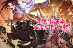 保姆级宠物攻略，让你最低成本拿到一个毕业史诗宠物#DNF手游