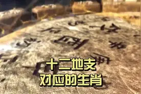 #民俗文化传播 十二地支对应的十二生肖都是什么？#易经视频封面