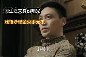 刘生的身份揭秘，掮客刘生#人民的名义 #影视解说 #李达康 #刘生