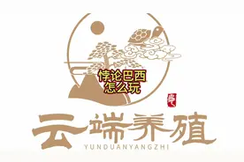 悖论巴西怎么配比较有前景 #养龟日常 #变异龟 #三农养殖视频封面