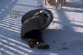 雪橇犬拉大锅！#傻狗的日常 #萌宠出道计划 #阿拉斯加 #雪地里撒欢 #东北的冬天视频封面