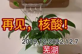 疫情结束是这三年最好的文案，没有清0，只是放开，愿山河无恙视频封面