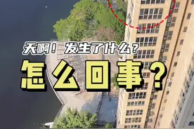 小蚂蚁迷路了，恰好看到朋友经过，于是大喊一声：“哥们儿！你都如何回蚁窝？” 那朋友一愣，羞涩的回到：“带…带…带着笑或是很沉默？”视频封面