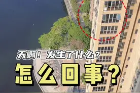 小蚂蚁迷路了，恰好看到朋友经过，于是大喊一声：“哥们儿！你都如何回蚁窝？” 那朋友一愣，羞涩的回到：“带…带…带着笑或是很沉默？”视频封面