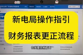 新电局操作指引｜财务报表申报更正流程#会计实操 #会计