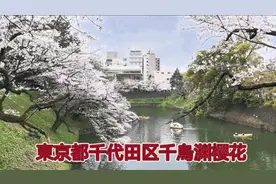 日本東京最美三大赏樱花胜地《千烏渊樱花》#日本旅游 #樱花视频封面