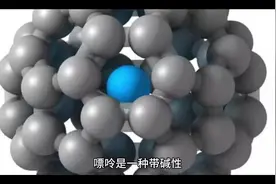 #上热门🔥 嘌呤是什么#医学科普 #痛风 #高尿酸 #嘌呤食物