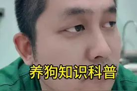 养狗知识科普 脏狗知识科普#养狗经验分享 #养宠进阶指南 #科学养宠攻略 #新手养狗养宠经验分享 #不养狗不知道养狗的乐趣视频封面