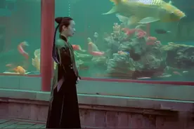 【新中式志怪】伴君鱼跃龙门#东方美学 #国风古韵 #梦核 #龙 #鱼视频封面