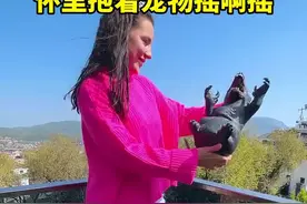 怀里抱着宠物摇啊摇，居然不小心掉下去了#看一遍笑一遍 #老外真会玩 #搞笑配音 #搞笑视频 #搞笑瞬间视频封面
