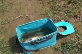 搞个钓鱼打氧泵，真好用