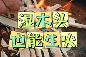 湿木头也能生火：一把生存刀，魁哥现场教学轻松生火！#生存刀生火 #户外火种 #户外技巧 #户外生火 #生火方法