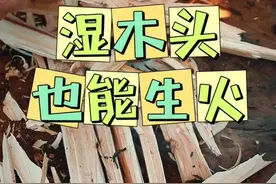 湿木头也能生火：一把生存刀，魁哥现场教学轻松生火！#生存刀生火 #户外火种 #户外技巧 #户外生火 #生火方法
