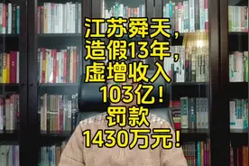 江苏舜天，造假13年，虚增收入103亿！罚款1430万元！#A股 #投资视频封面