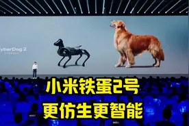 小米仿生机器狗，继铁蛋1号后的第二代升级，更仿生更智能视频封面