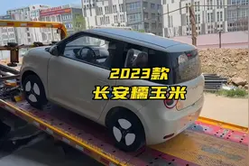 2023款长安Lumin“糯玉米”最新落地价参考 #长安lumin视频封面