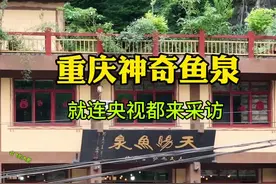 重庆神奇鱼泉，最多一天涌出上千斤鱼，就连央视都来采访#神奇鱼泉 #重庆巫溪视频封面