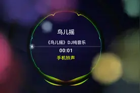 手机铃声 鸟儿摇 DJ 纯音乐 来电铃声 #手机铃声 #来电铃声 #鸟儿