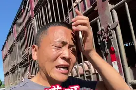 拉猪小伙真实记录，40度的高温拉猪去浙江、一路的艰辛与坎坷… #拉猪车#一定要看到最后#货车司机