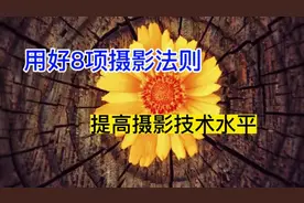 掌握这8个拍摄法则，让你快速提升摄影技术#摄影基础知识入门