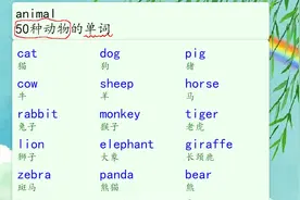 英语单词：50种动物的单词 #小学英语单词视频封面