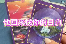 他回来找你的真实目的。 #塔罗测试 #回头的原因#前任 #塔罗