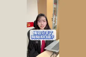 情侣分手街头抢狗，狗狗抚养权归谁？ #坚定的选择 #抖来普法2024 #女律师