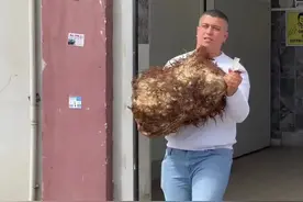 我的羊皮奶酪#美食 #外国美食