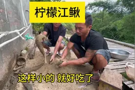 柠檬江鳅！ 今天朋友带了江鳅让我下厨，就做一锅云南柠檬江鳅视频封面