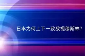 日本为何上下一致敌视穆斯林？#穆斯林