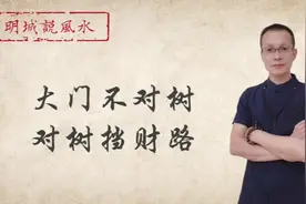 大门可以正对树吗