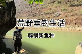 不知名的稀有鱼既然连杆，这鱼情风景太好了，#原来钓鱼才是抖音运动顶流 #北禾晴川羽量小综合 #野钓还的饿的慌 #老G饿得慌事业部#荒野垂钓视频封面
