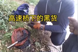 强磁打捞高速桥底，遇到这种东西主动避让！视频封面