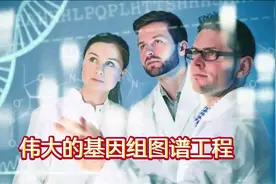 人类基因图谱@人类史#进化史#种族