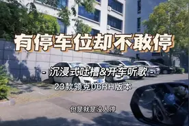 车停这里都得遭殃！谁帮我看下这是什么树🌲？#领克06 #dou是好车