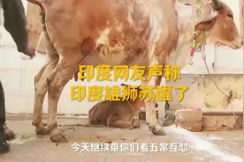 印度网友说自己国家是雄狮#网友神评论视频封面