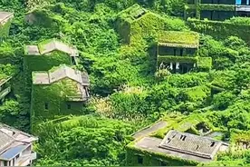#舟山无人村现实版绿野仙踪 #网红打卡地#海景房#嵊泗美景 #嵊山岛枸杞岛 无人村视频封面