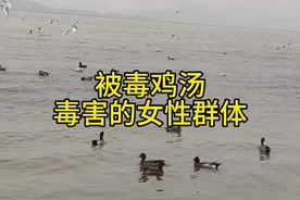 被毒鸡汤毒害的女性群体