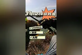 今天又钓到了顶级鱼种 #早春钓鱼少不了我 #钓鱼日记 #老坛谷麦 #蓝鲫青春版 #钓鱼视频封面