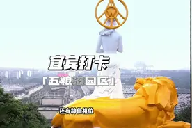 宜宾免费的4A景区五粮液怎么玩？一条视频告诉你视频封面
