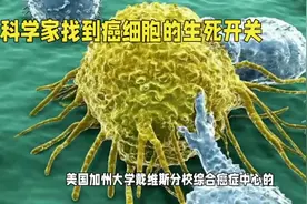 #中视频伙伴计划 科学家找到癌细胞的生死开关#攻克癌症 #癌症视频封面