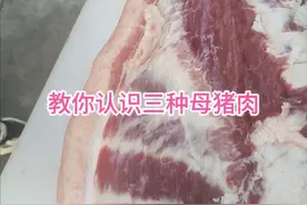 教你认识三种母猪肉#左手刀鹏哥 #猪肉 #美食 #每天跟我涨知识