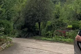 战友情浓，思而见之，离别故乡40多载，最牵挂的仍然是你！#生活正能量视频封面