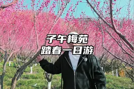 陕南踏春赏梅一日自驾游，走进秦岭深处的百亩梅园．山野秘境视频封面