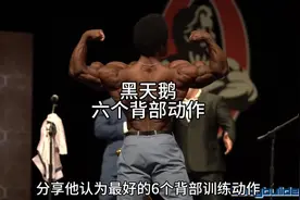最好的六个背部训练动作，看看你都练过几个#健身 #背部训练视频封面