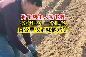 再高一点都没有这么顺畅，这是量身定制的活视频封面