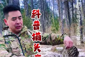 它本是夜空中翱翔的精灵，此刻却成了冰冷的躯壳，每个生命都有他的使命，敬畏大自然莫让更多生命成为回忆#记录真实生活 #科普猫头鹰#户外 #保护野生动物 #抖音美食推荐官