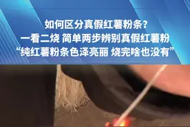 一看二烧 简单两步辨别真假红薯粉！“纯红薯粉条色泽亮丽 烧完啥也没有！”#红薯粉 #科普 #原创 #社会百态 #生活视频封面