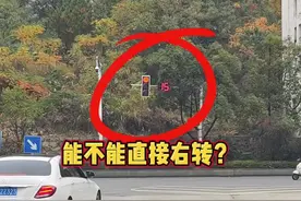 老司机都来看看，圆形红灯能不能直接右转？#红绿灯路口 #每天一个汽车知识视频封面