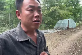 今年张雪为什么没和张伟在一起呢？他们是不是分开了！视频封面